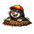 MoleLaunch